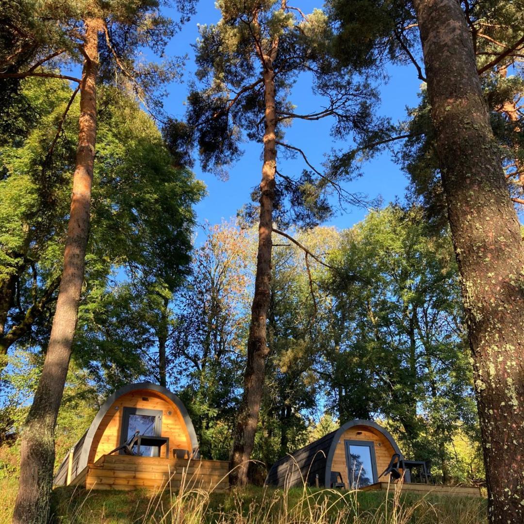 Camping Serendipite *